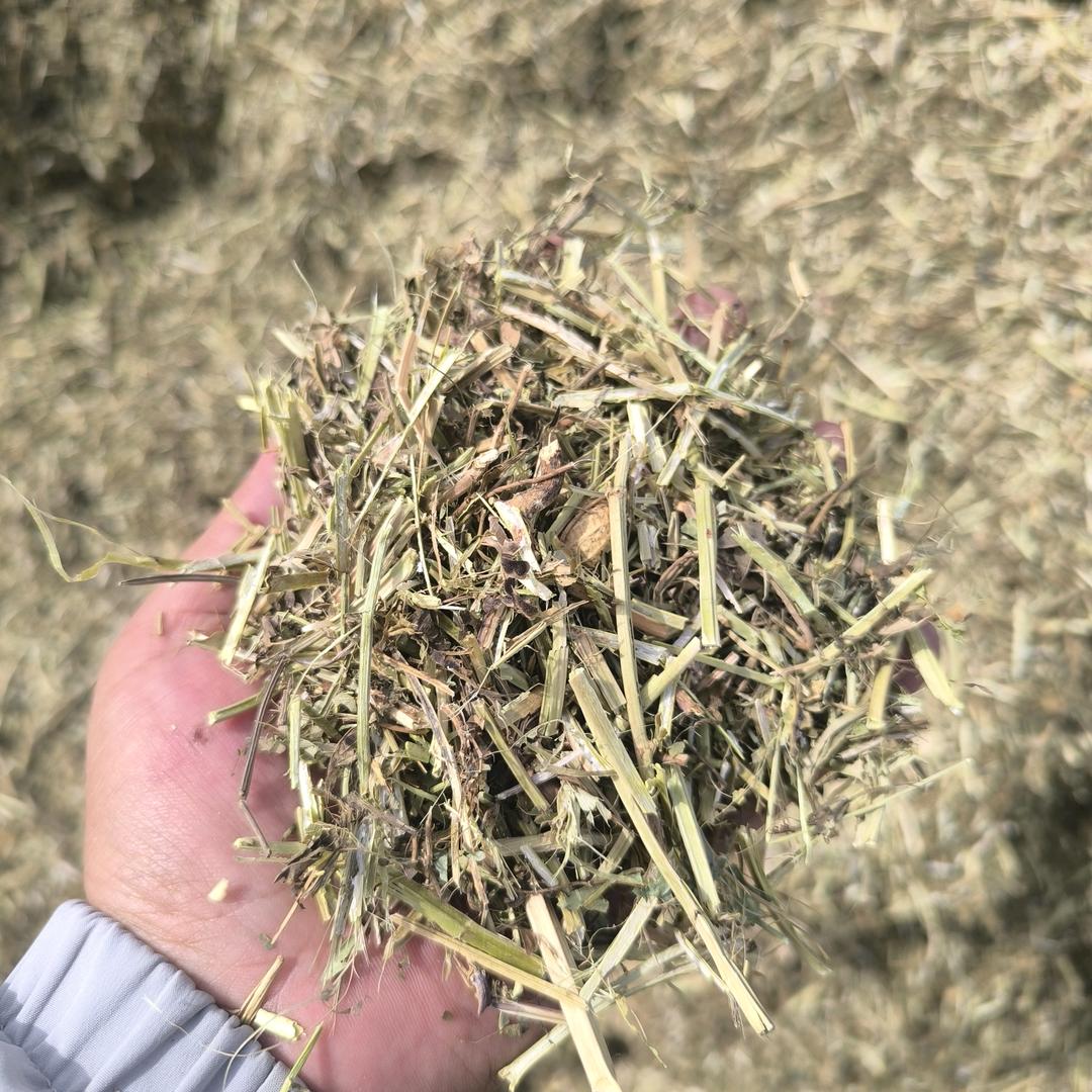 浚县牛羊草料购销