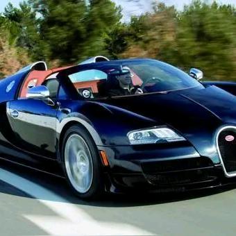 徽君子车行采购总监程学知