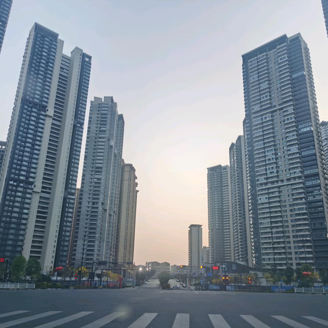 大庄家