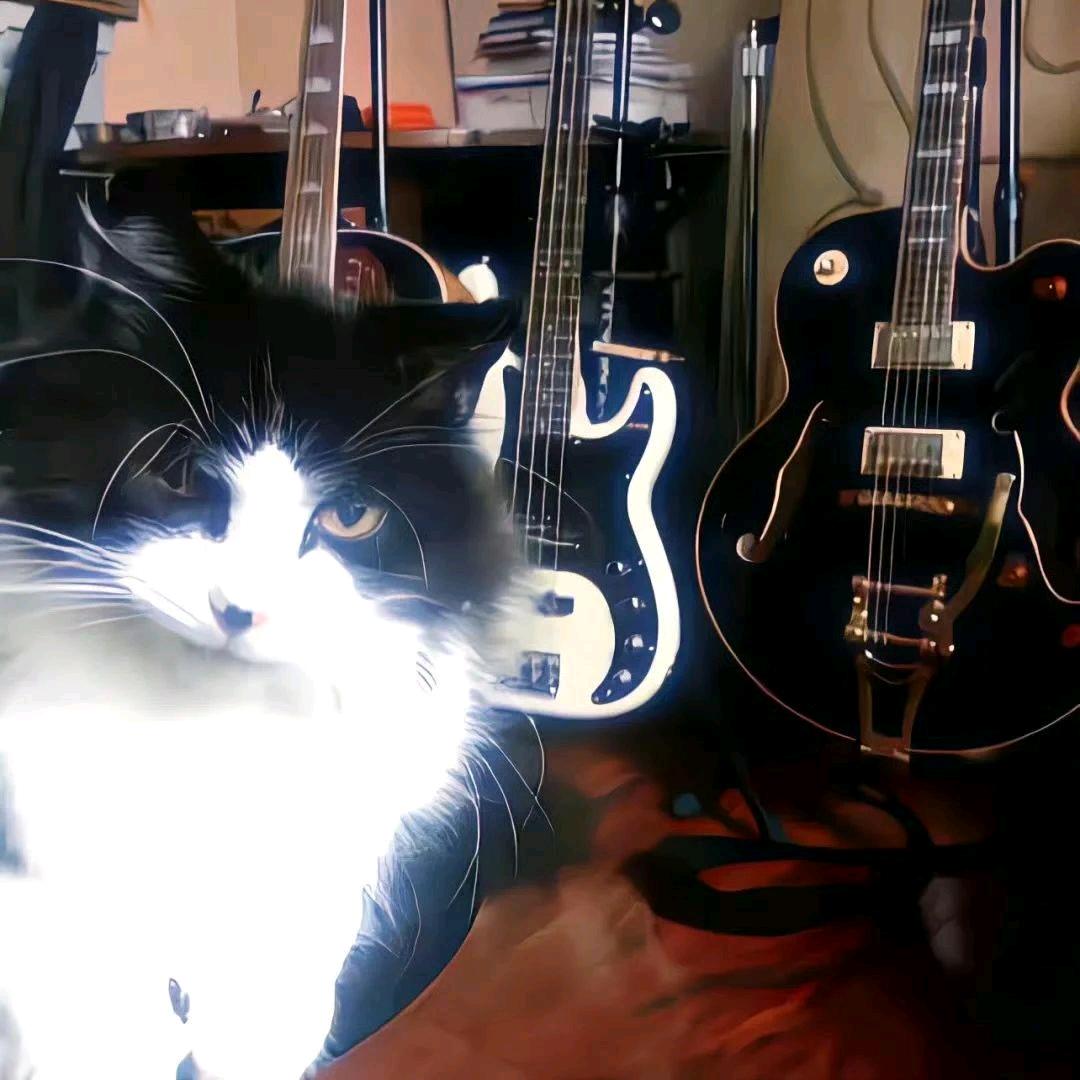 开不了高达的_Q