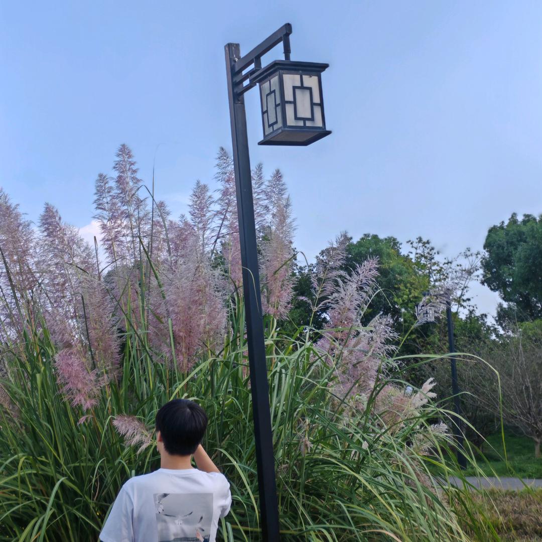 郑先生