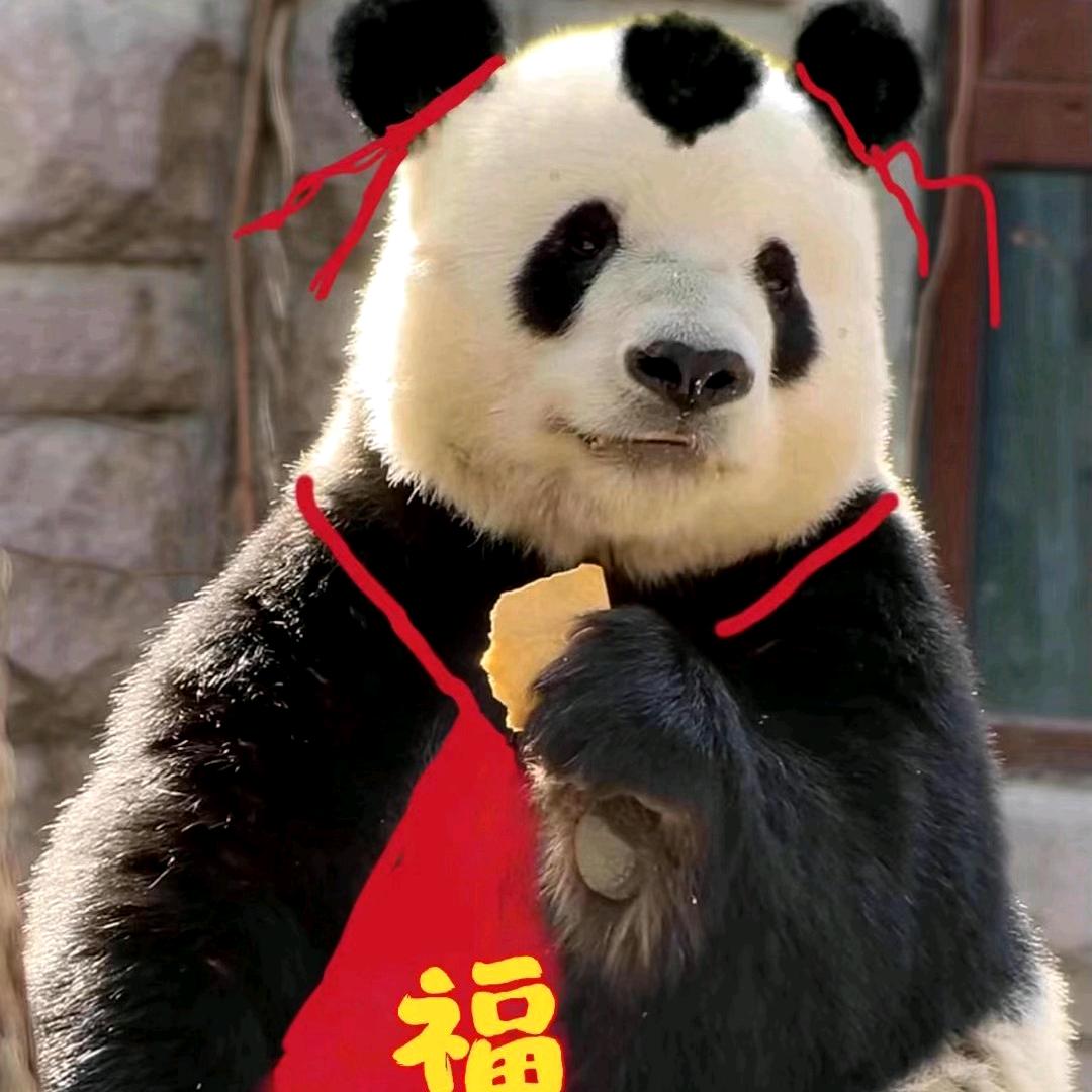 🌈🌸🍀小丫头礴礴🐼🐼🐼
