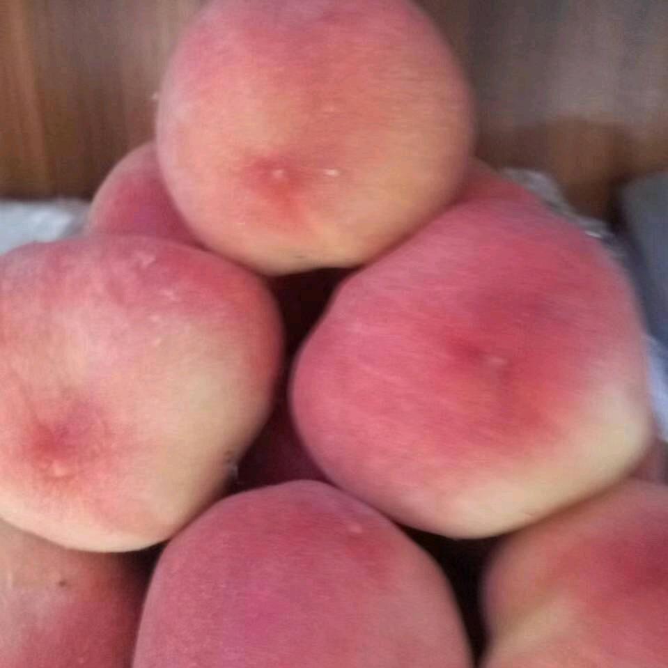 萍
