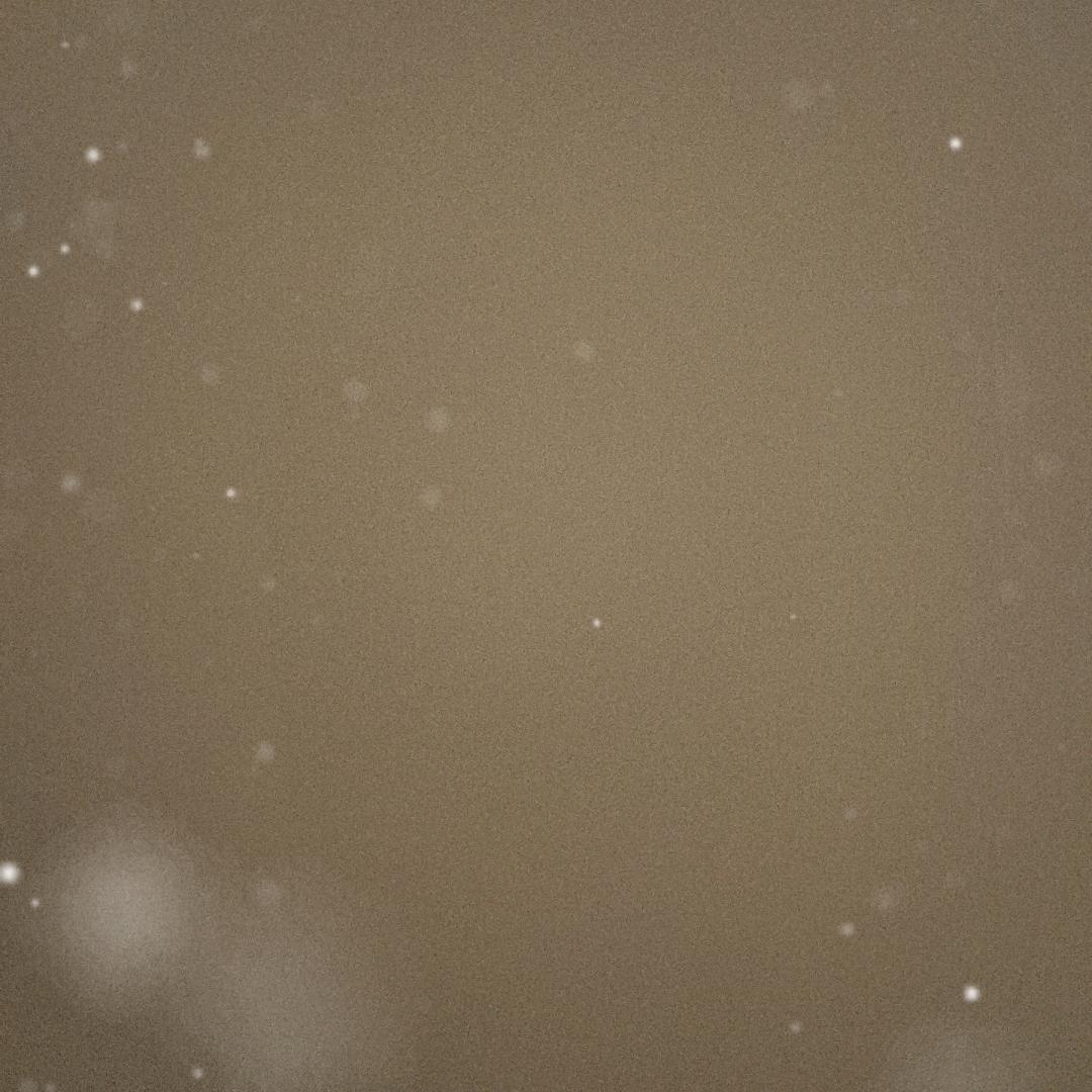 陈可儿