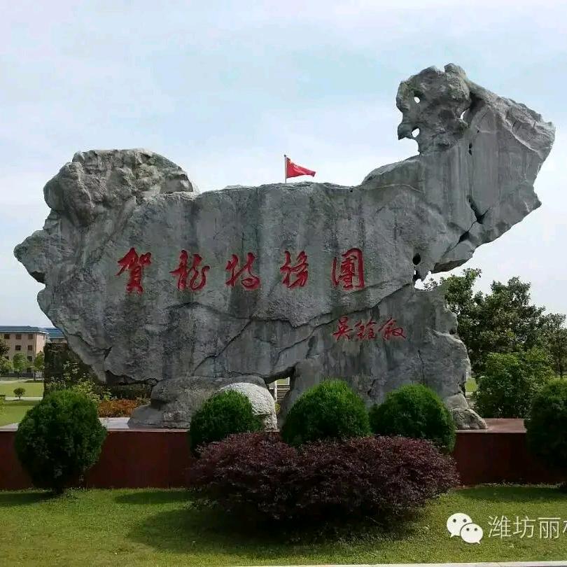 汉龙，强盛。