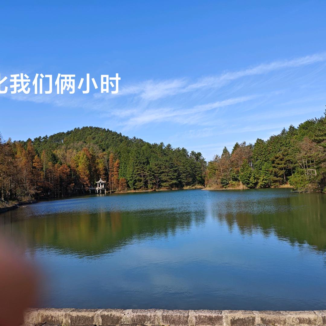 立的搖蓝
