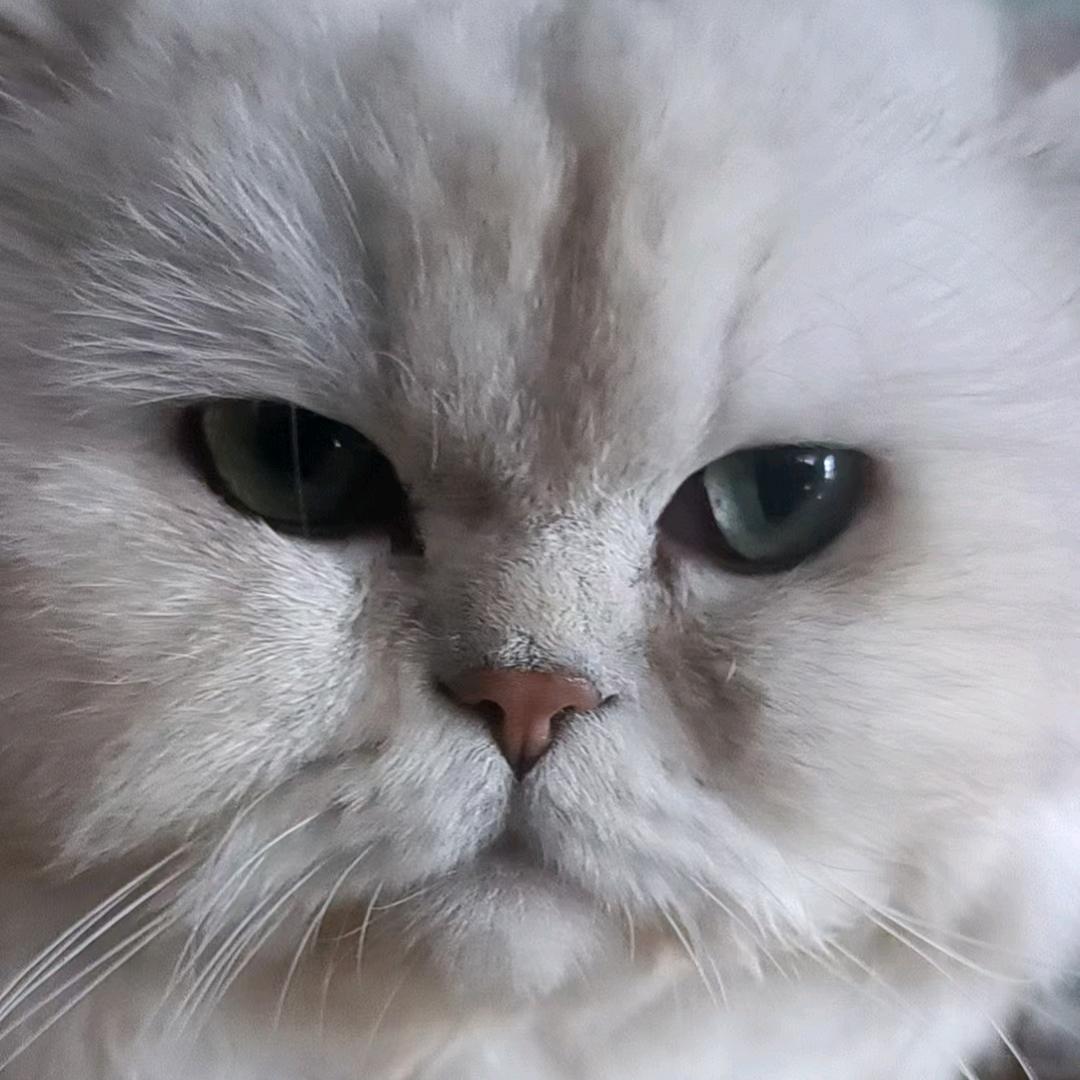 城南街头城北尾。