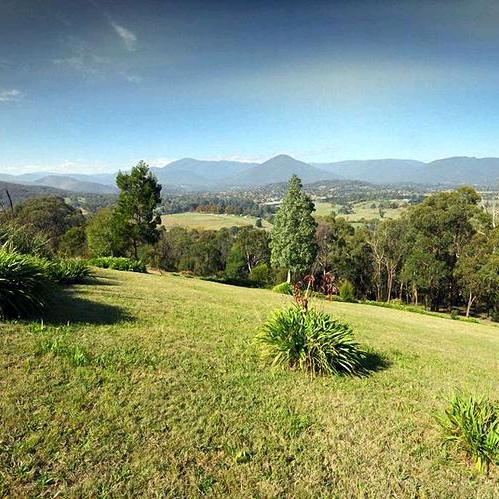 🌴🌴草上飞🌴🌴