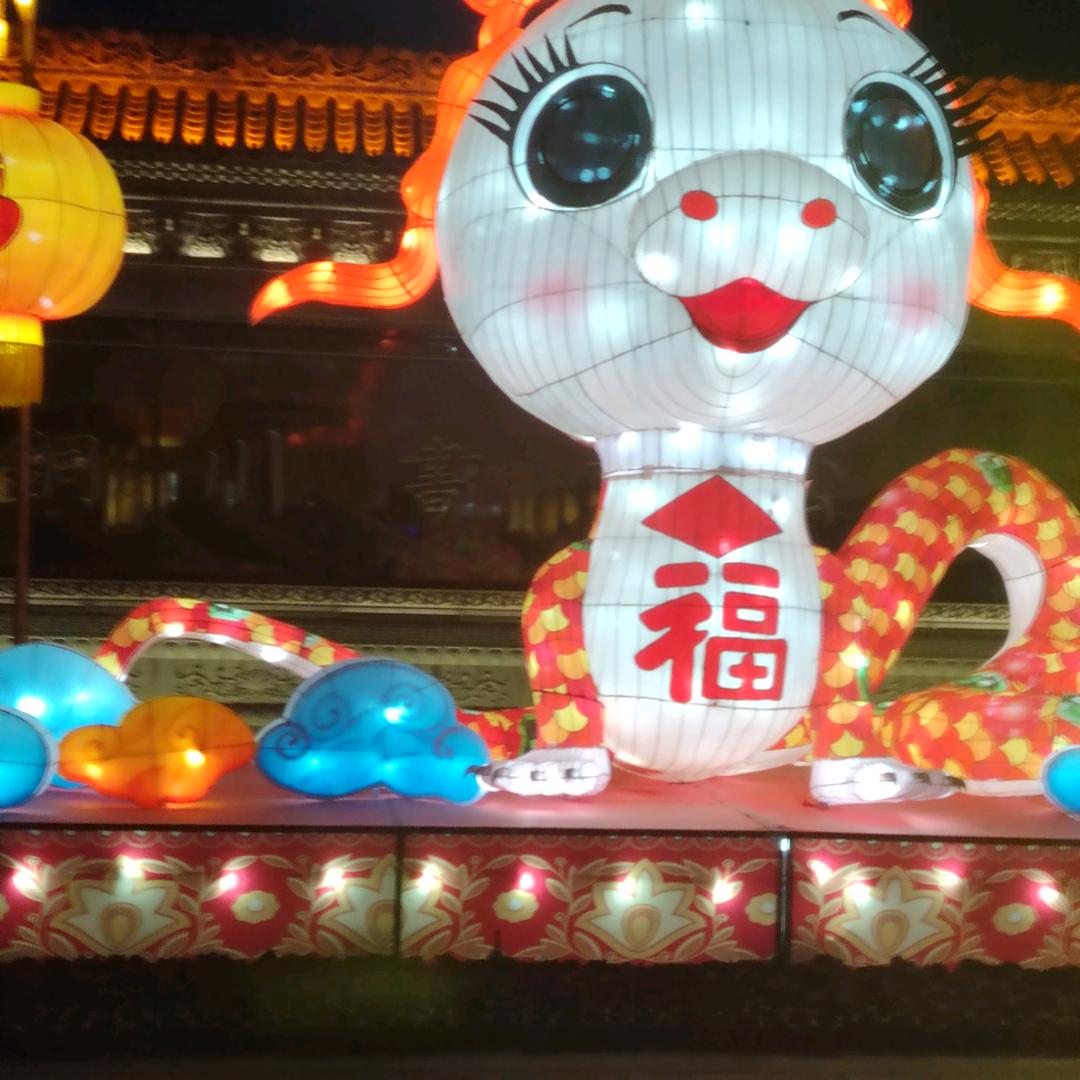杨婷