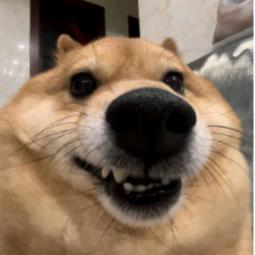小❤️新