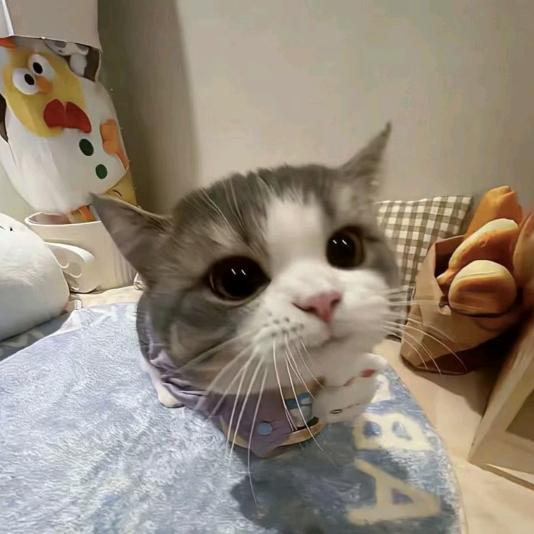 被抓到成都的那个十八岁雨夜