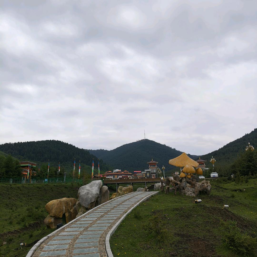 马东山干炒大盘鸡(酒泉店)官方号