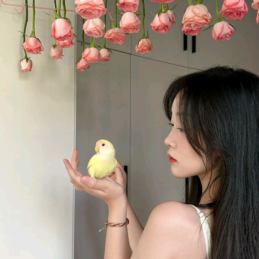 谷老师聊养鹦鹉