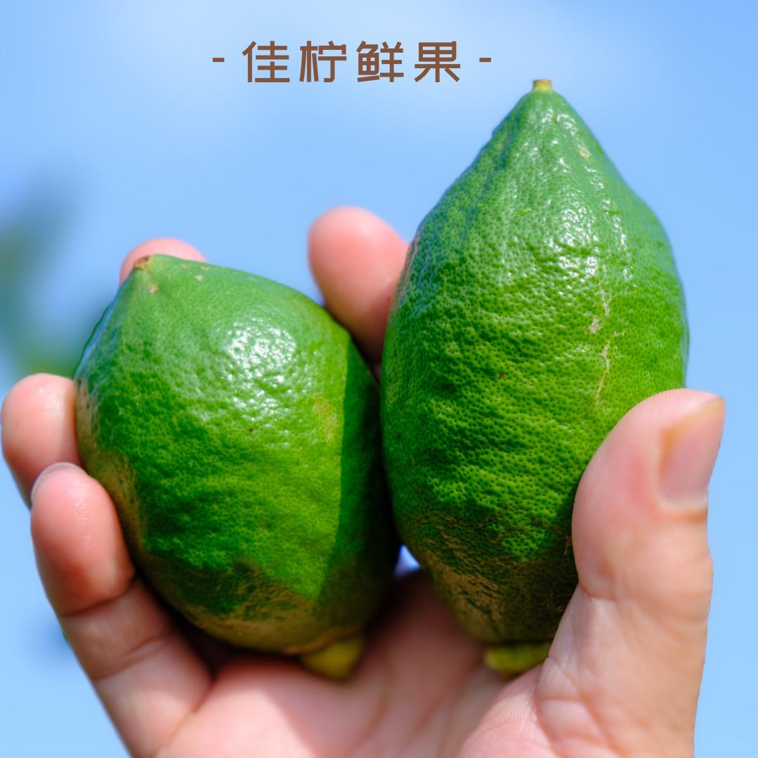 佳柠鲜果