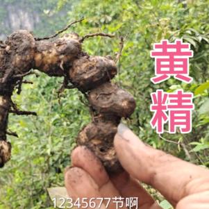 山野阿文