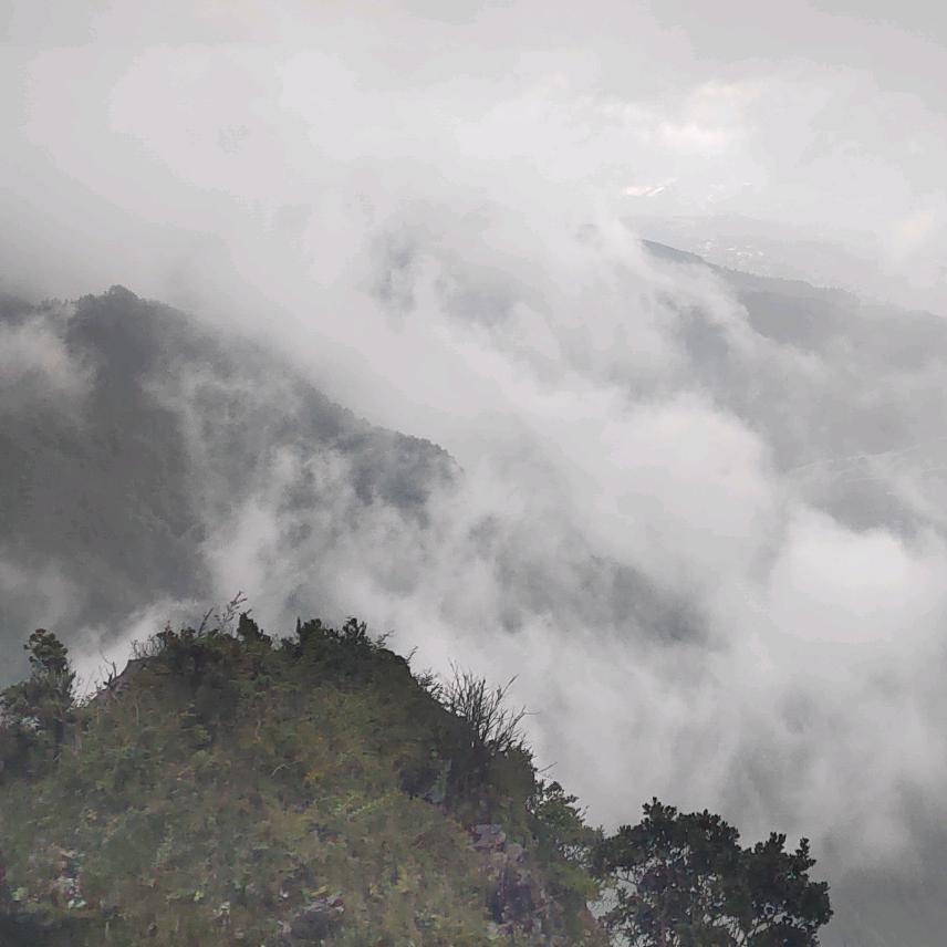 ✨ℯ⃝凡夫ꦿ俗子℘࿐