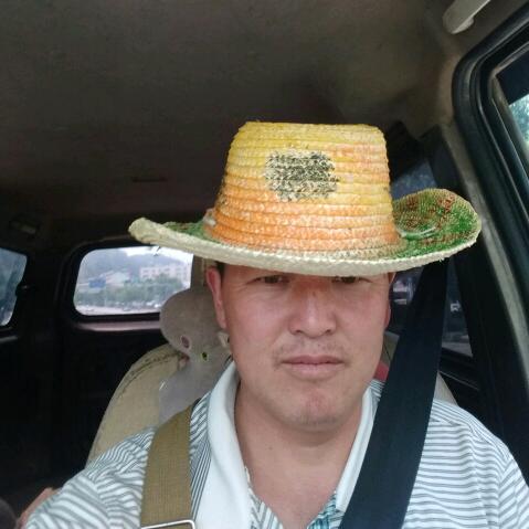 常年收售干七园子七三七花记得联系小杨