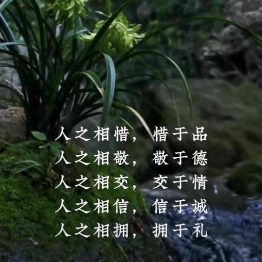 龙太极