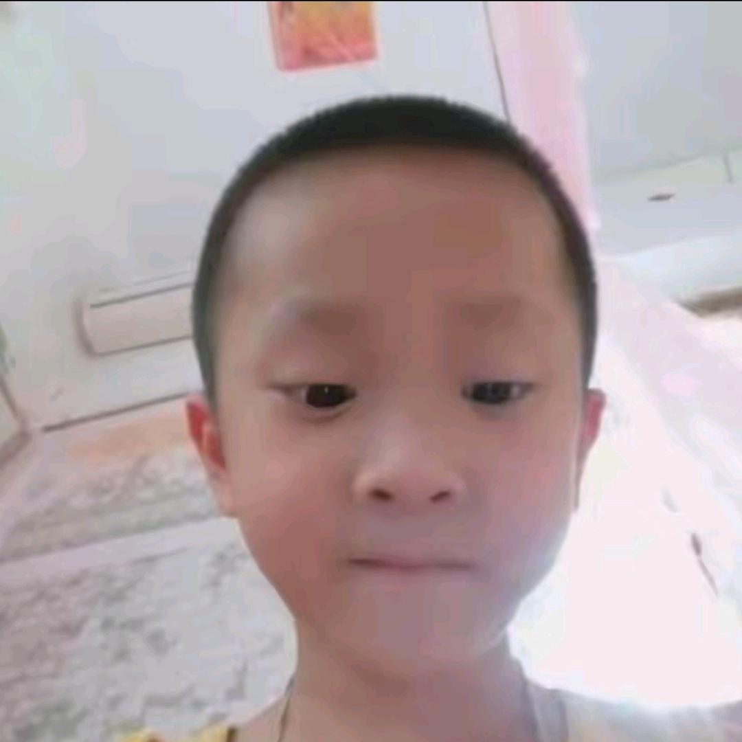 不知名熊二