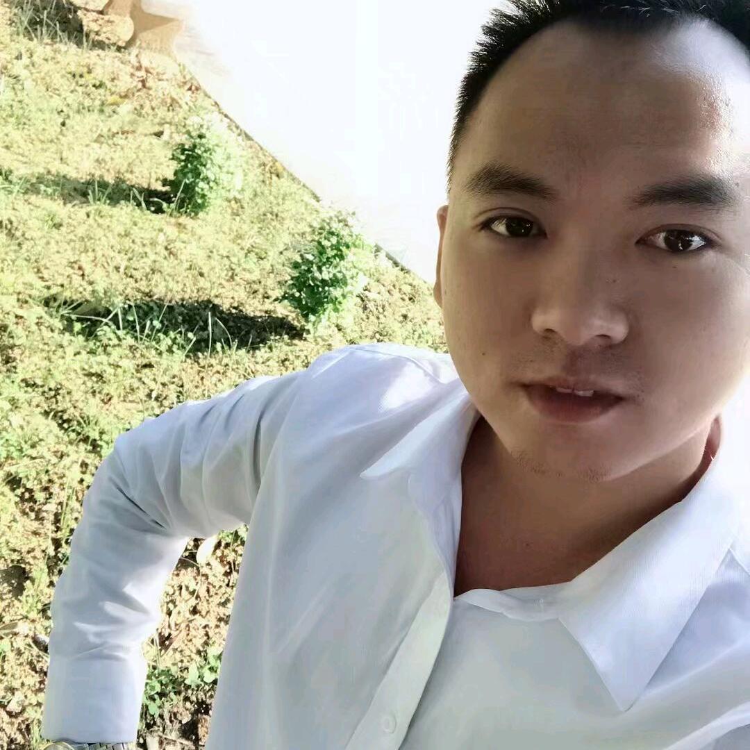 呆萌