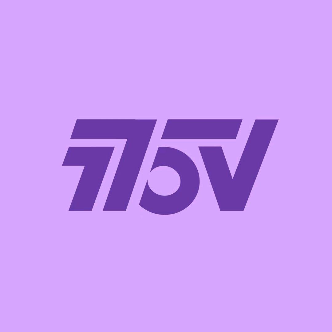 775-V 第三视角