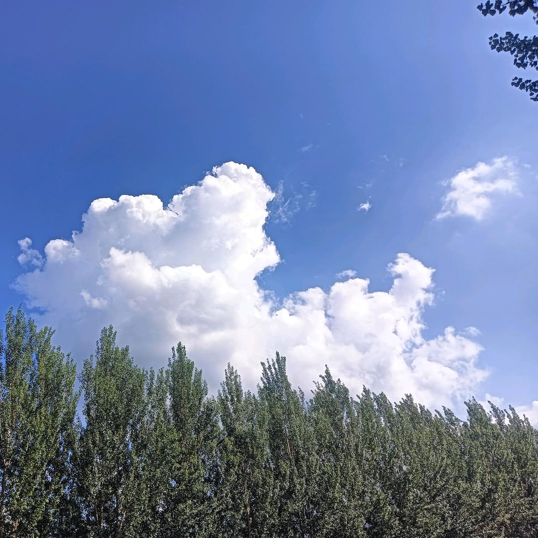 小明吖