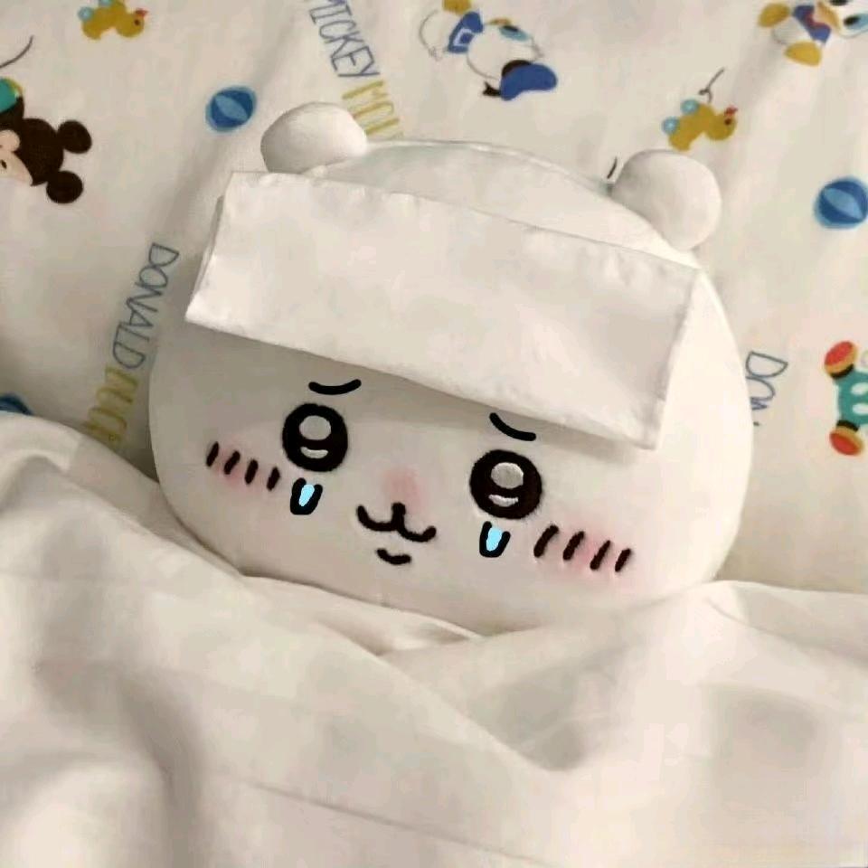 摆烂