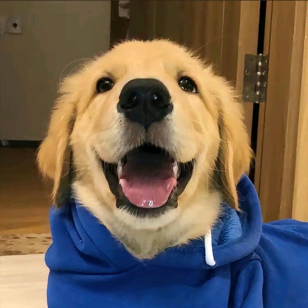 小凯同学