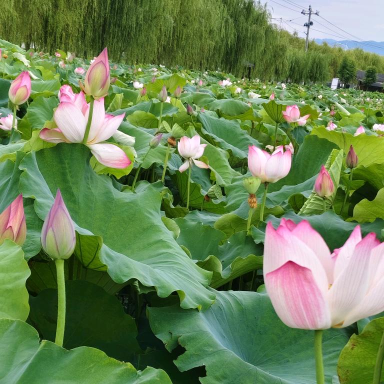 亲亲宝宝💞💞