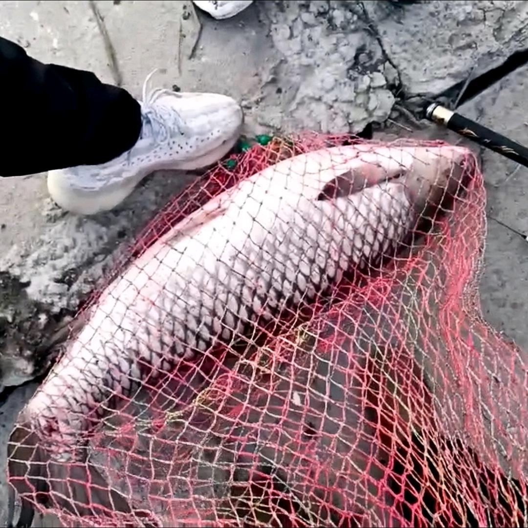 邓襄镇文庆鱼塘