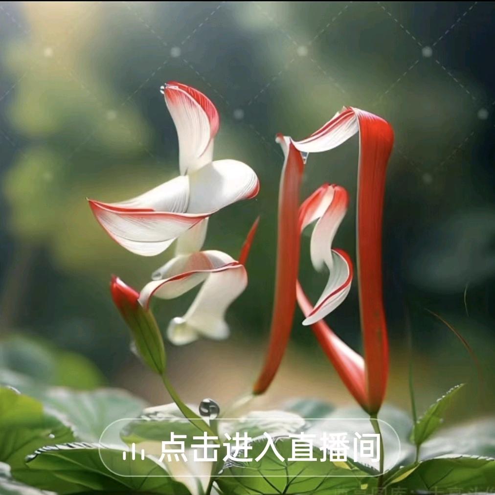 用户7438675910440心想
