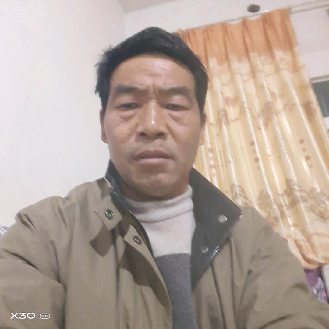 老杨想我