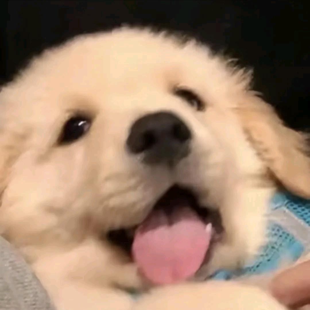 只想睡觉💤