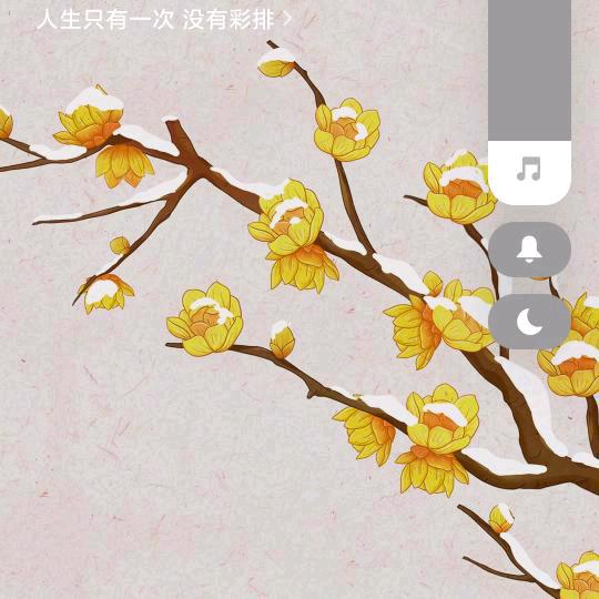梅花🌸姐