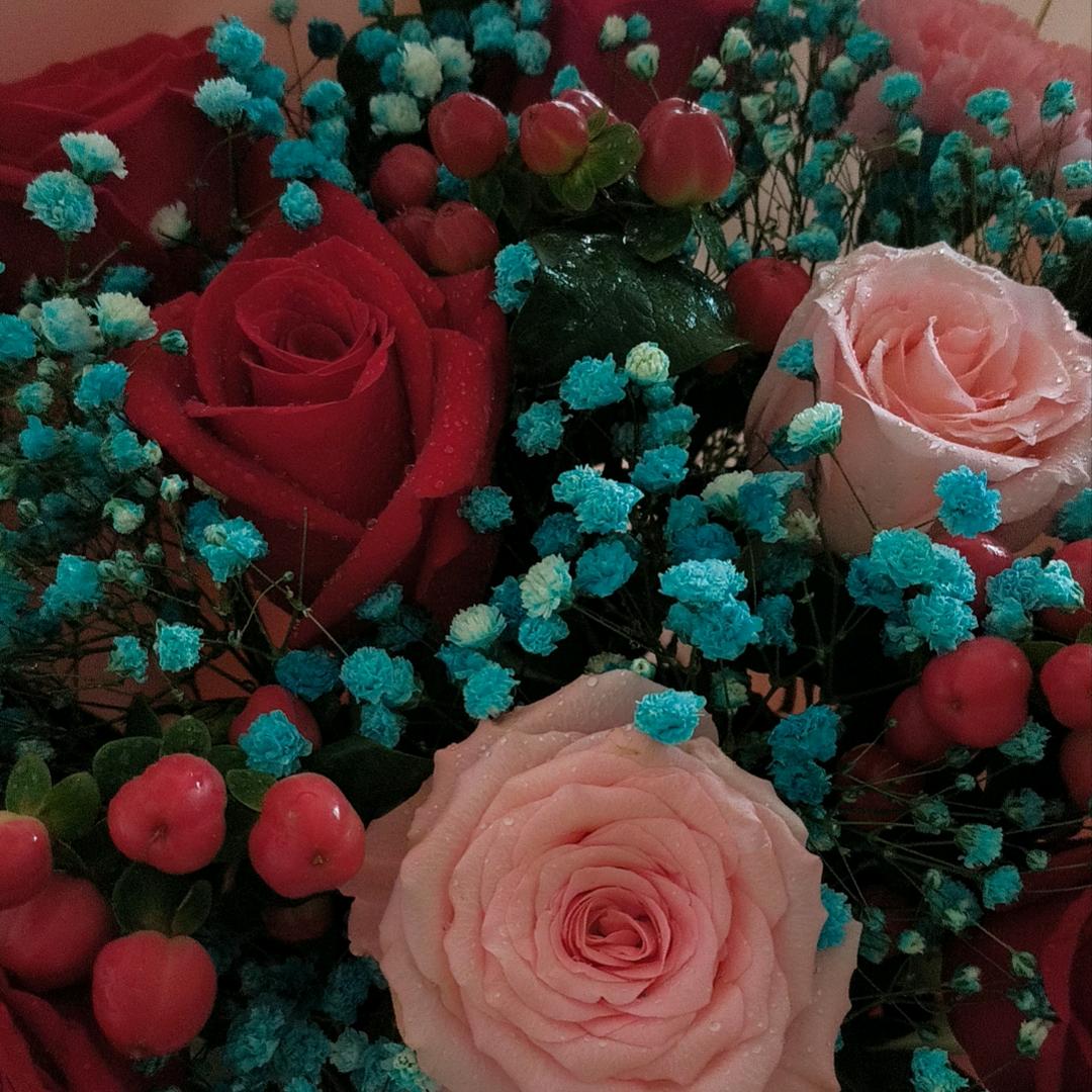 丫头（拒绝私聊）