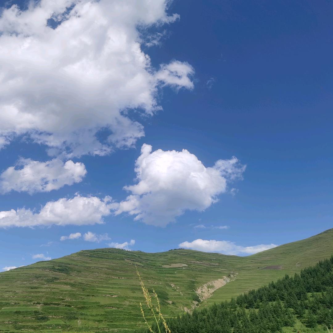 擒贼先擒  王先生