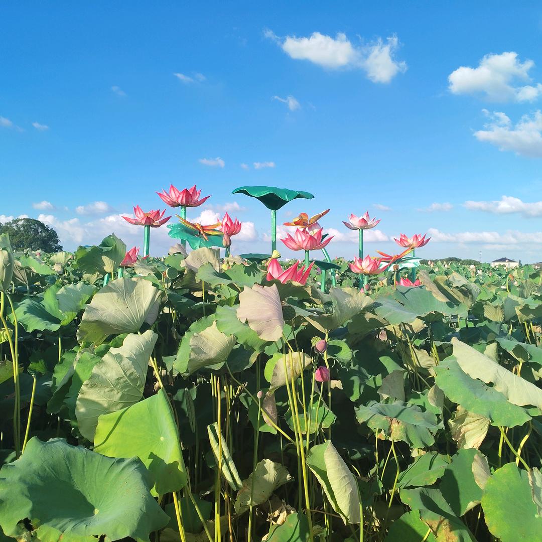 只沾花🌺不惹草🌿