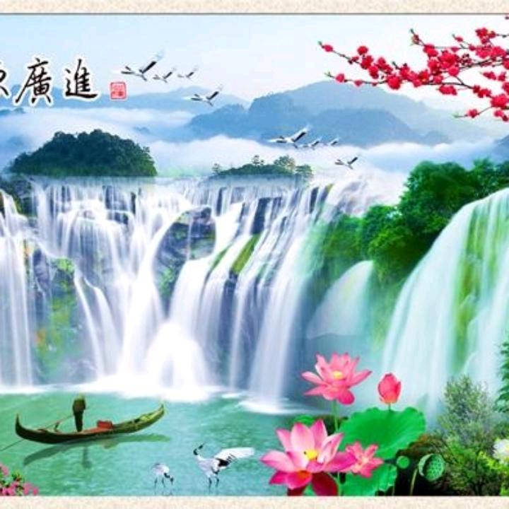 彬哥好物分享