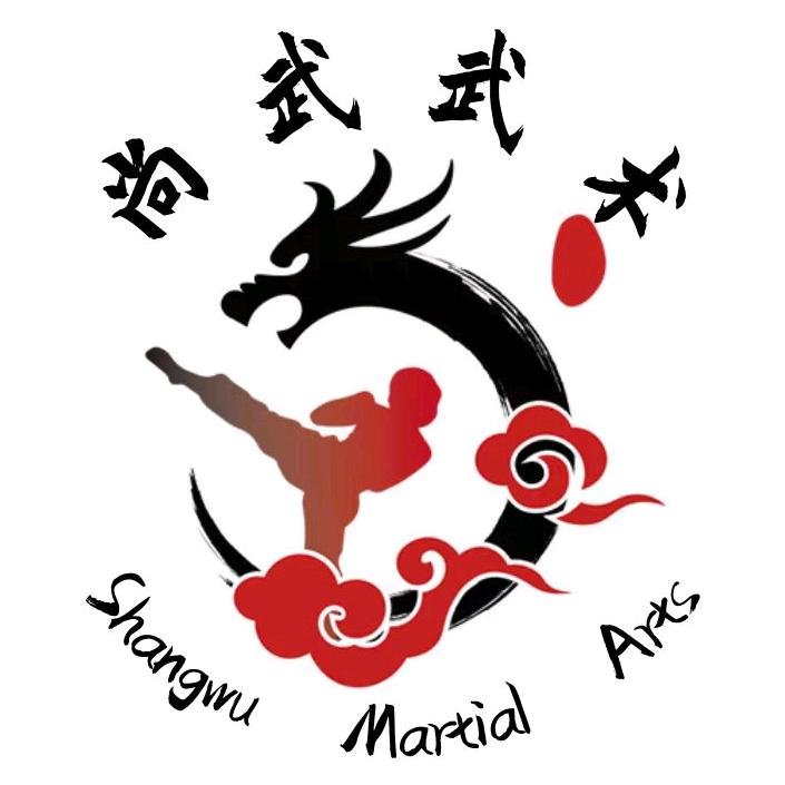 尚武武术搏击