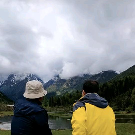 树与书📚
