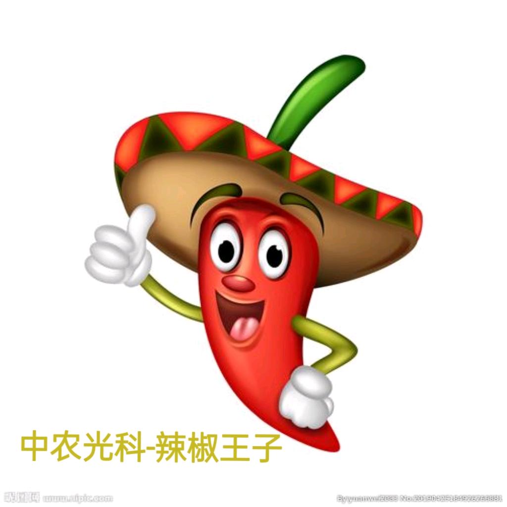 中农光科-辣椒王子
