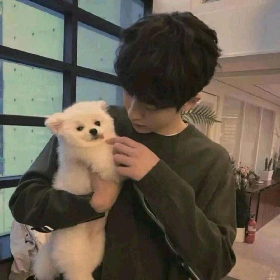 安南（王者接代🥣）