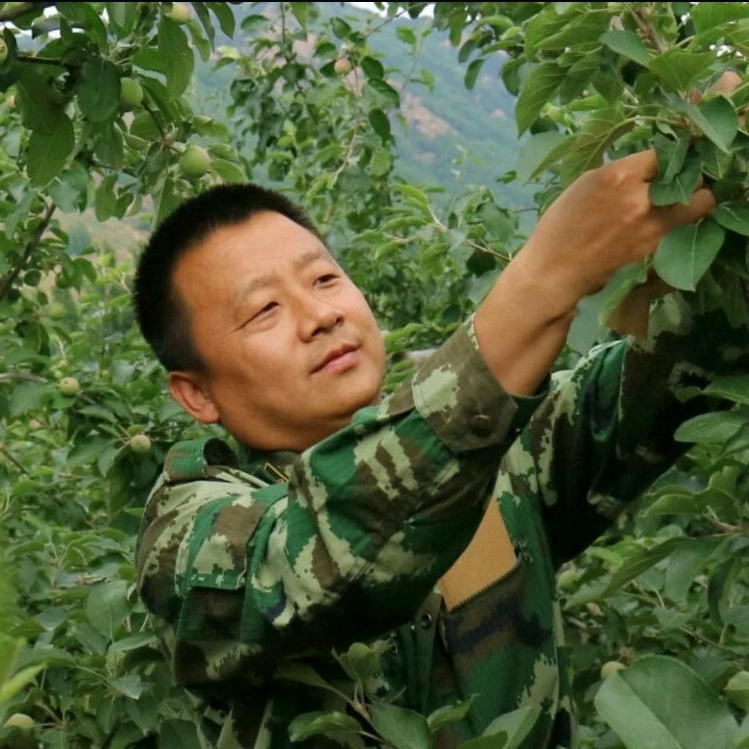长兴岛（军歌嘹亮）