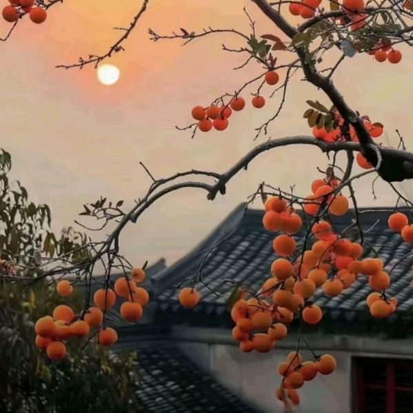 喜笑颜开⊙▽⊙