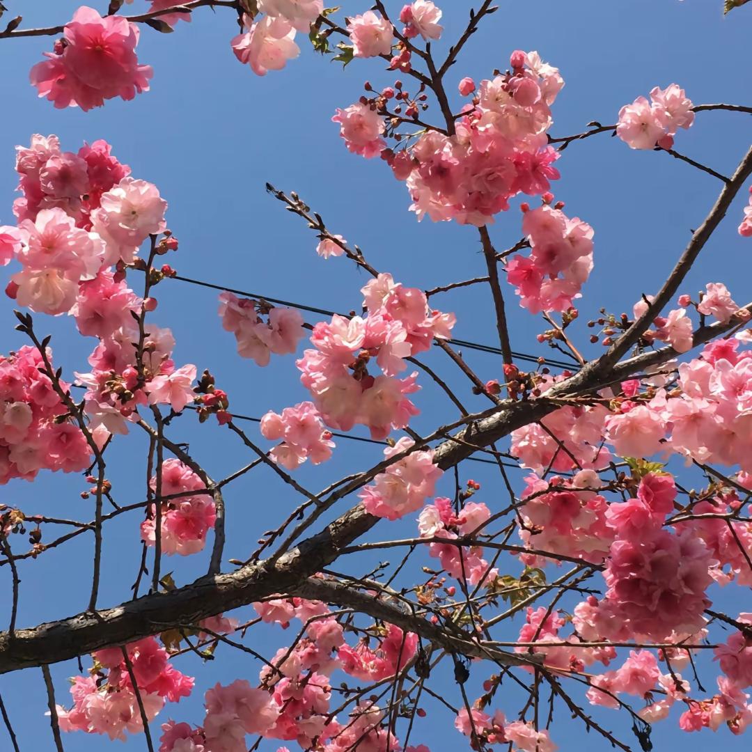 沫然🌴