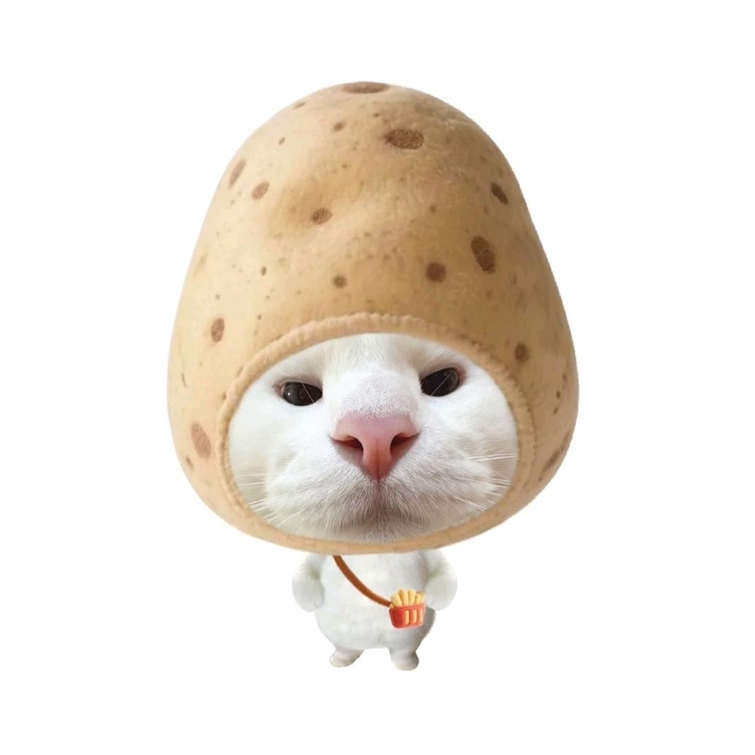 是左左耶