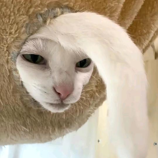 大家都安静一下