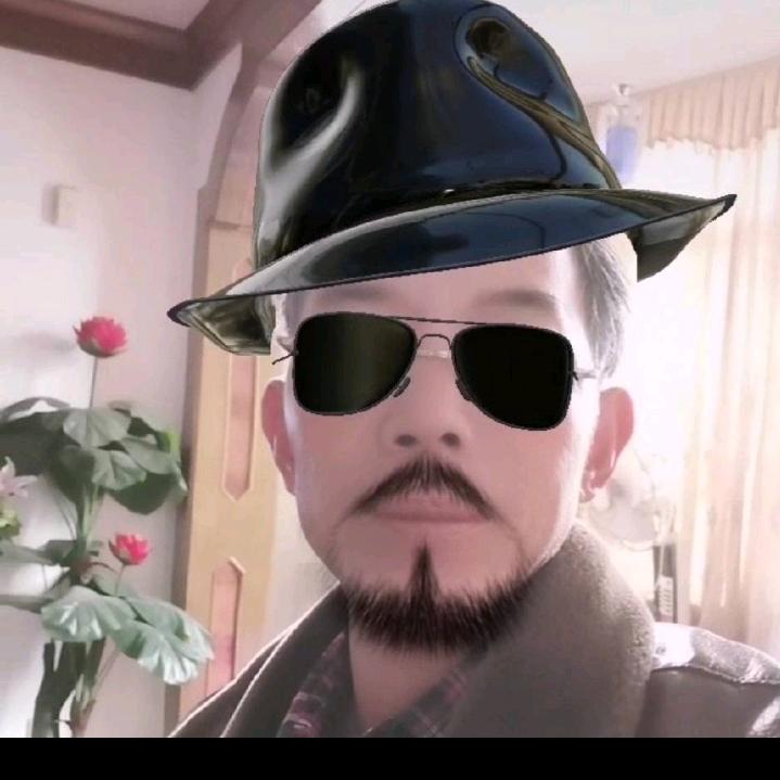 暗香疏影