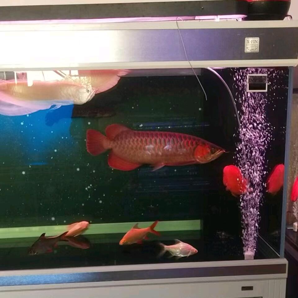 金玉玲珑