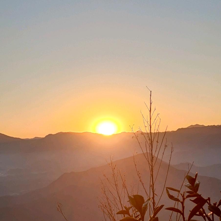 风有了秋天的味道